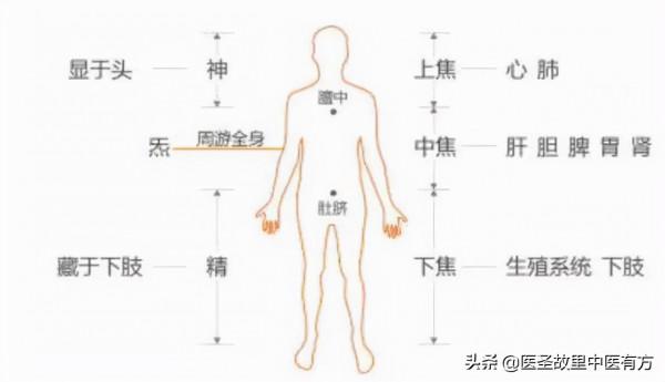 身體反反覆覆出毛病，檢查卻總是沒問題？很可能是你三焦堵了