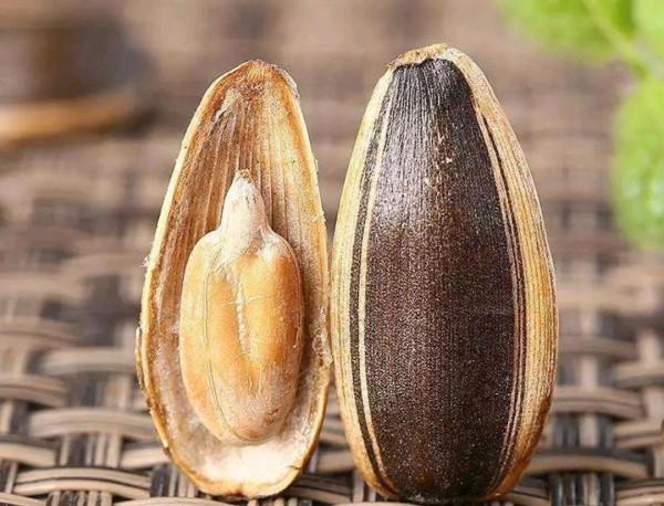 減肥能吃“瓜子”嗎?坦白說:不想腰腹部長贅肉,4種零食要少吃 減肥能吃“瓜子”嗎?坦白說:不想腰腹部長贅肉,4種零食要少吃