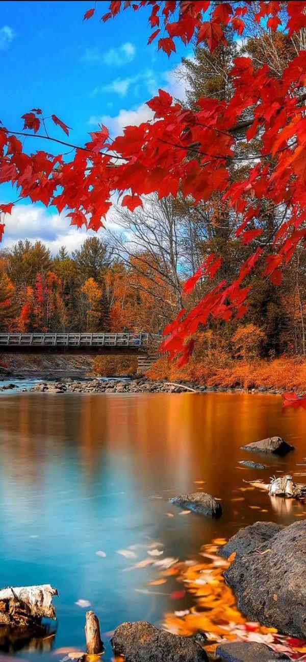 分享圖片&mdash;&mdash;天然純淨的風景集錦