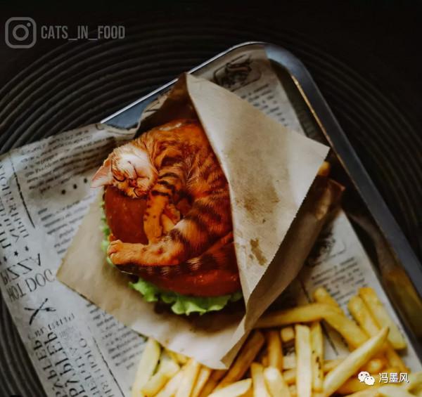 這樣的貓片，真下飯