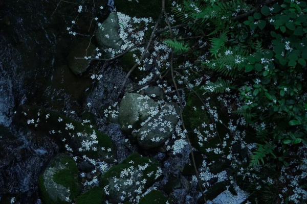 秋遊賓陽陳平和平谷，探尋原始秘境