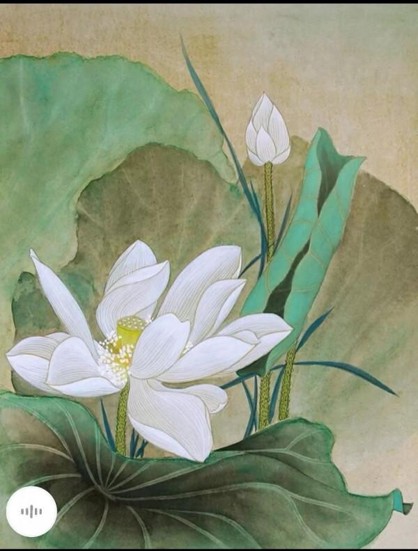 荷清自高潔，梅香獨傲雪——賞析《愛蓮說》和《卜算子 詠梅》