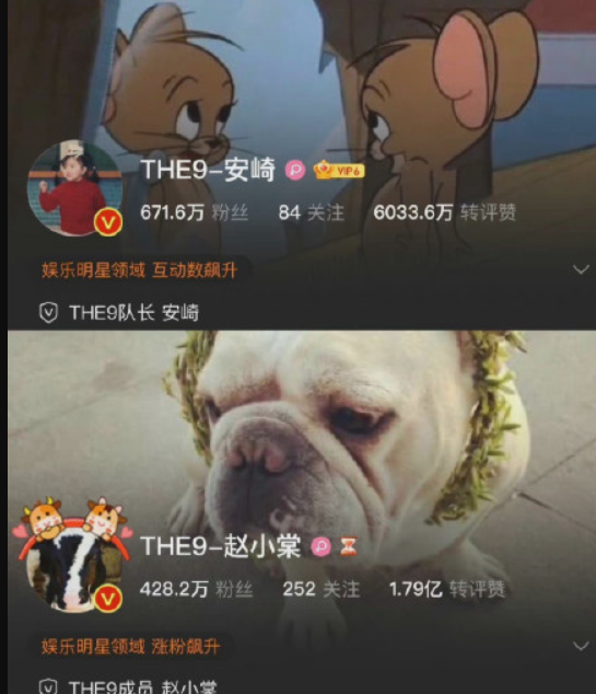 THE9解散對比剛出道時粉絲變化，劉雨欣贏麻了，許佳琪讓人意外