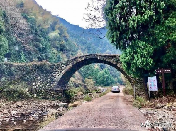 這條被譽為“浙江西南第一嶺”的紅楓古道你去過嗎？