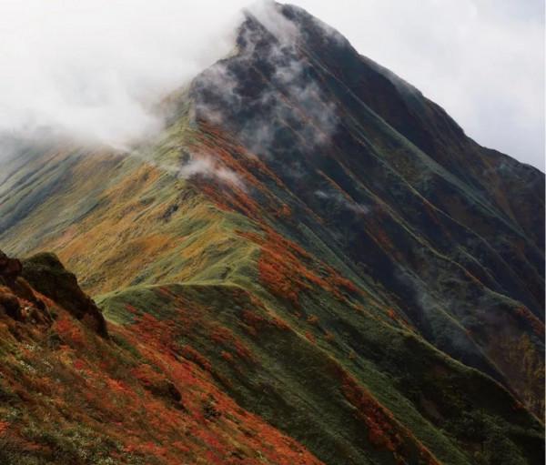 舒適又時髦的出行搭配指南 舒適又時髦的出行搭配指南
