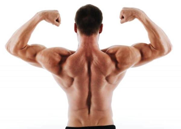 你的背部肌肉為什麼練不好?你可能犯的錯誤是技術不好 你的背部肌肉為什麼練不好?你可能犯的錯誤是技術不好