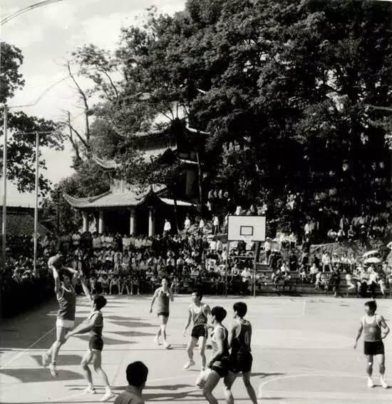 老外腦海裡的另一種規則 老外腦海裡的另一種規則