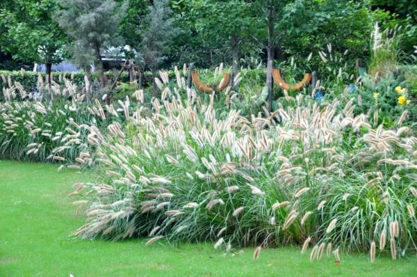 “咔咔咔”，虹口近期都被拍照聲包圍~這些地方超美