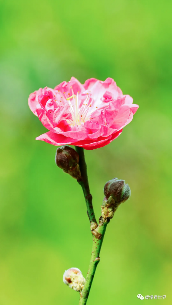 2022壬寅年，立春