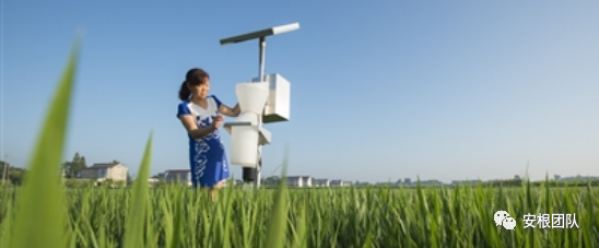 種養迴圈經濟存在的問題和解決措施