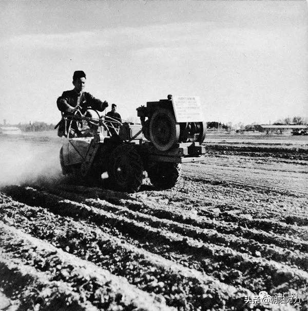 五十年代催人奮進的老照片：毛主席來到十三陵水庫參加義務勞動