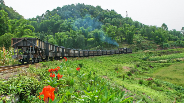 火車硬臥和硬座的區別？除了價格和休息方式外，還有幾點也不相同