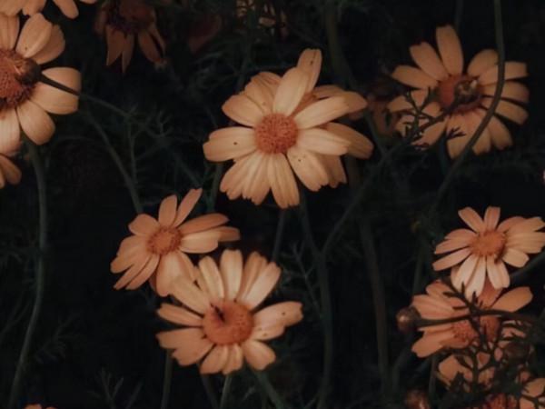 看似溫柔,實則內心很理性的星座,他們的邏輯很好,擅長以理服人 看似溫柔,實則內心很理性的星座,他們的邏輯很好,擅長以理服人