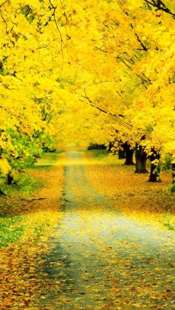 打卡第七十六天 清水辟穀減肥第六十九天 打卡第七十六天 清水辟穀減肥第六十九天