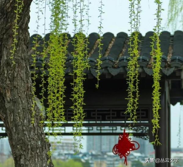 蘇東坡最為經典的50首詩詞,文彩四溢、南州冠冕 蘇東坡最為經典的50首詩詞,文彩四溢、南州冠冕