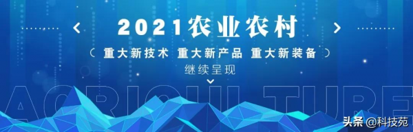 2021中國農業農村重大新產品 | 黃顙魚新品種“黃優1號”