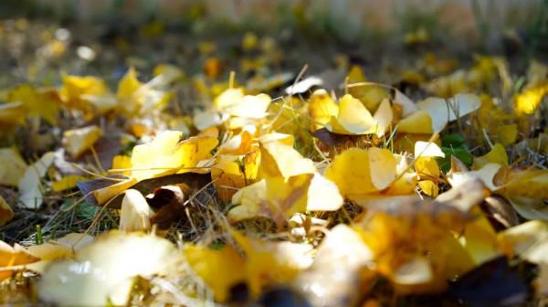 “雙減”後何去何從？答案！請跟著學校走