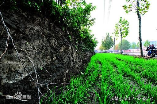 衛國——周朝最後一個被秦滅亡的國家 衛國——周朝最後一個被秦滅亡的國家