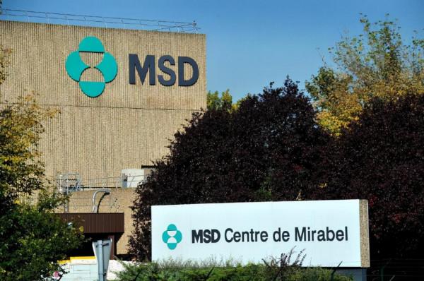 全球大公司動態11.22