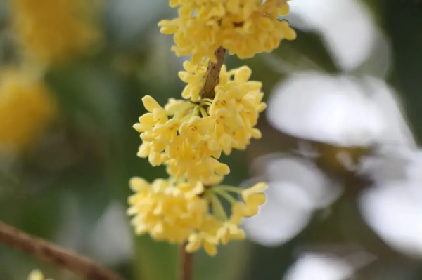 58歲阿姨傾訴：找有6000退休金的老頭搭夥，一年不僅搭錢還出了力