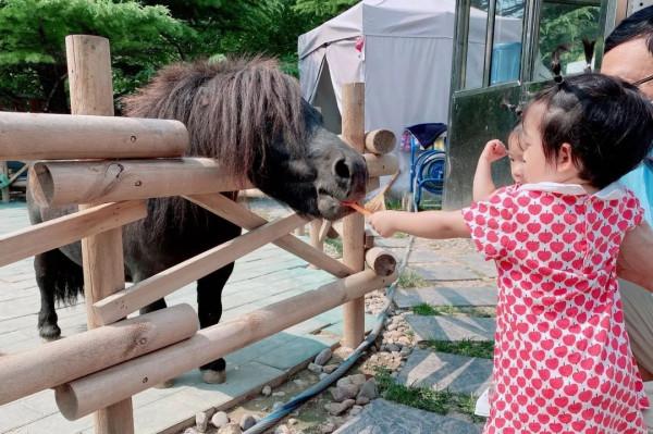 【FENG娛】速看!世界花卉大觀園裡有什麼?細數那些藏不住的精彩! 【FENG娛】速看!世界花卉大觀園裡有什麼?細數那些藏不住的精彩!