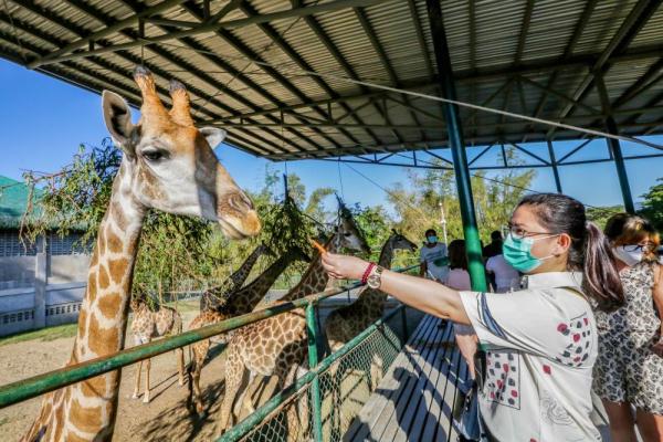 菲律賓：動物園裡度週末
