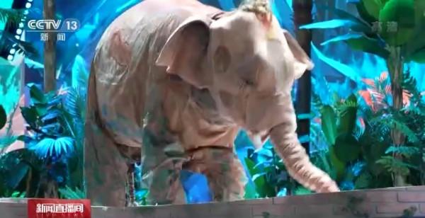 探秘春晚上的大象臺前幕後