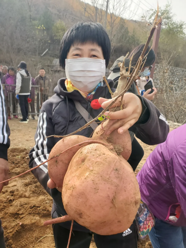 谷山味道▐ 厲害了!糧倉宴亮相央視,揭秘豪橫美食!果蔬採摘節強勢來襲! 谷山味道▐ 厲害了!糧倉宴亮相央視,揭秘豪橫美食!果蔬採摘節強勢來襲!