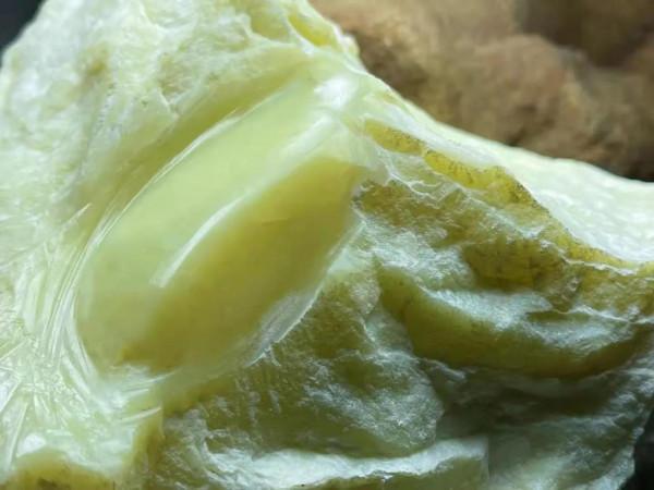 黃口和田玉 黃口和田玉