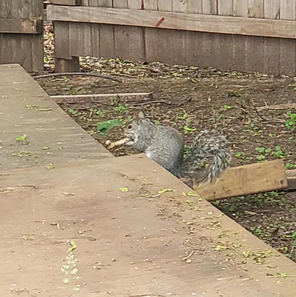 28張圖片帶你看看你不瞭解的世界，看完整個人都舒服了