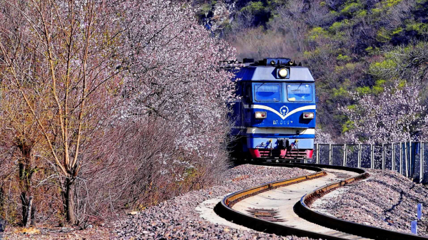 真實故事:九死一生,女子如廁後漏下疾馳的火車,獲賠148萬 真實故事:九死一生,女子如廁後漏下疾馳的火車,獲賠148萬