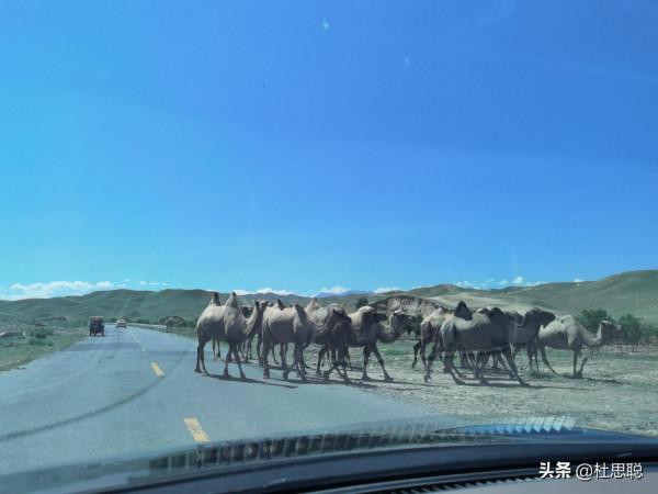 漢EV自駕新疆，漢和全疆第一提的唐DMi比純電能耗，完全不落下風