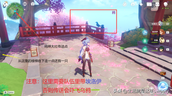 原神四方之網可捕捉小動物位置彙總一覽