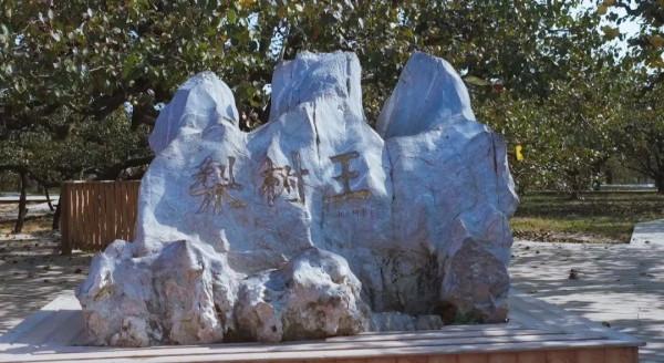 碭山生活志 | 來碭山「旅遊」,這些地方您一定不要錯過 碭山生活志 | 來碭山「旅遊」,這些地方您一定不要錯過