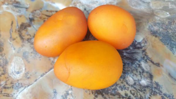 買了幾顆黃臘石，卻被噴慘了