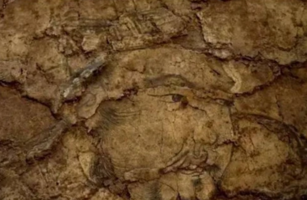 1986年,老農養的豬神秘消失,仔細觀察後,原來豬圈裡別有洞天 1986年,老農養的豬神秘消失,仔細觀察後,原來豬圈裡別有洞天