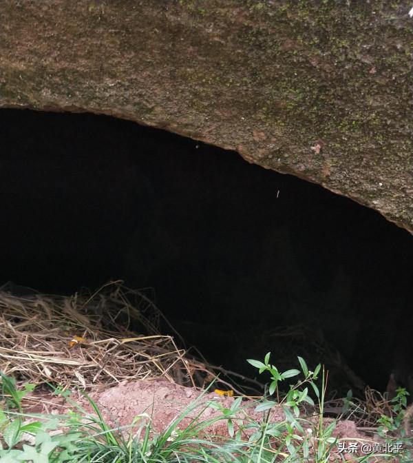 重慶北碚復興街道母子洞,道與仙兩界爭鬥多年最後以經濟開發結束 重慶北碚復興街道母子洞,道與仙兩界爭鬥多年最後以經濟開發結束