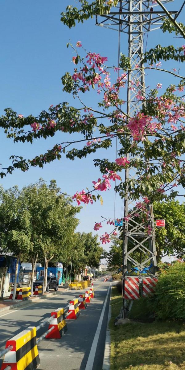 為你揭秘，為什麼歷史上一直是北方人統治南方人？