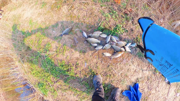 冬季釣鯽魚小魚也鬧窩?不妨試試泡沫逗釣,效果不比紅蟲差 冬季釣鯽魚小魚也鬧窩?不妨試試泡沫逗釣,效果不比紅蟲差