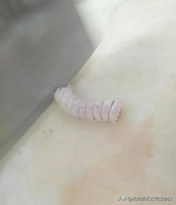 九道酒樓口碑菜品，時令應季，特別實用