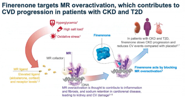 FIGARO研究心衰二次分析結果重磅釋出！Finerenone心臟獲益再傳捷報丨2021AHA