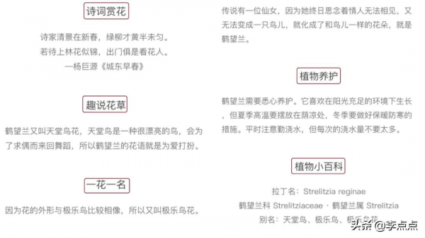 不佔記憶體還免費！娃學習用的這8個寶藏小程式，我不私藏了