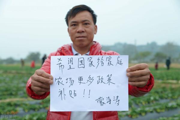 化肥、柴油都在漲價！糧補、糧價今年能上漲嗎？