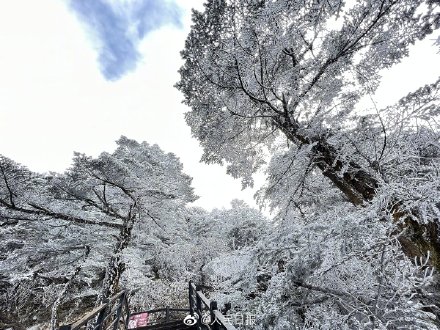 請收好全國賞霧凇地圖