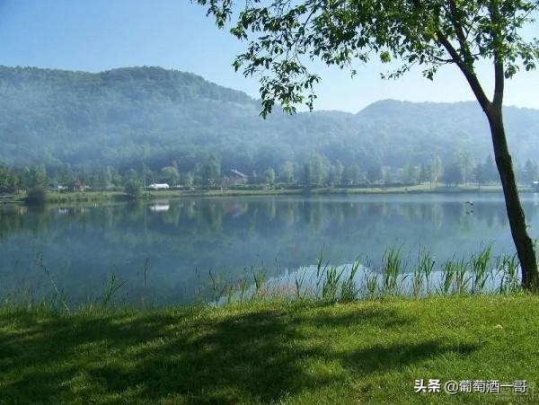 阿爾薩斯，怪得很的葡萄酒產區