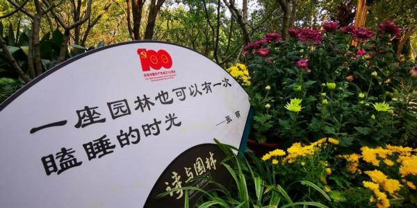 進入最佳觀賞期 進入最佳觀賞期