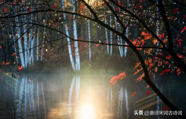 何處得秋霜 何處得秋霜