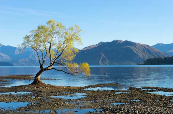 人到中年，陰氣自半！有這些症狀，你該護陰了，3個竅門即可調