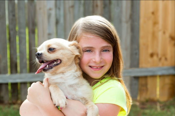 這幾種狗狗，也太適合小女生了吧！快送給你女朋友