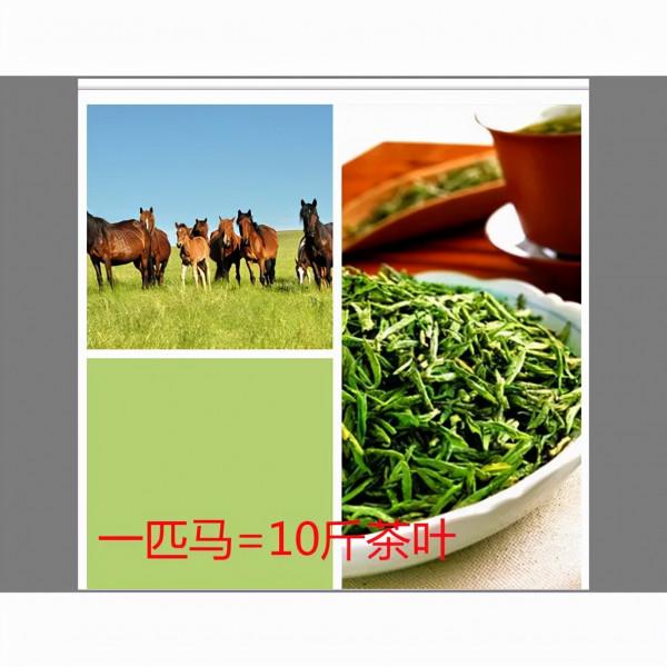 起起落落，還是皇帝（二）